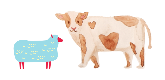 Sheepskins & Cowhides